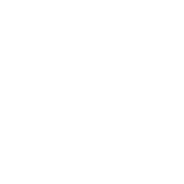 shape-39.png